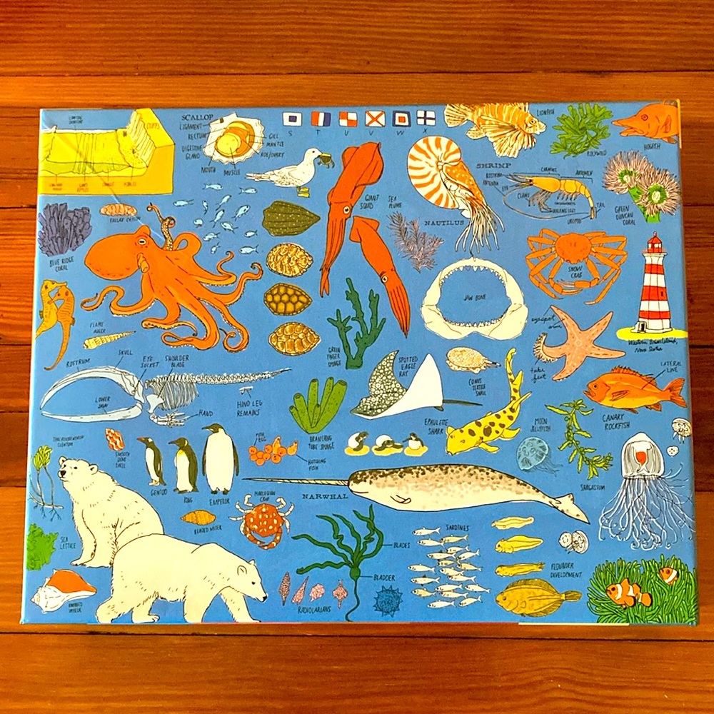 Julia Rothman ocean puzzle